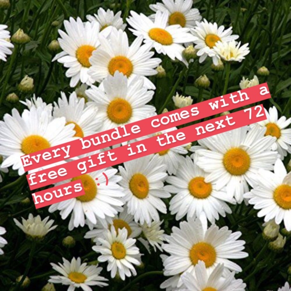 Bundle